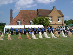 Dog Show at Nurstead Court